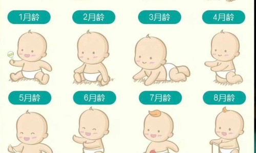 茶油擦婴儿私处安全吗-茶油可以擦婴儿眼睛吗网- 茶油擦婴儿私处安全吗知识,分享茶油滴到婴儿眼睛有没有事